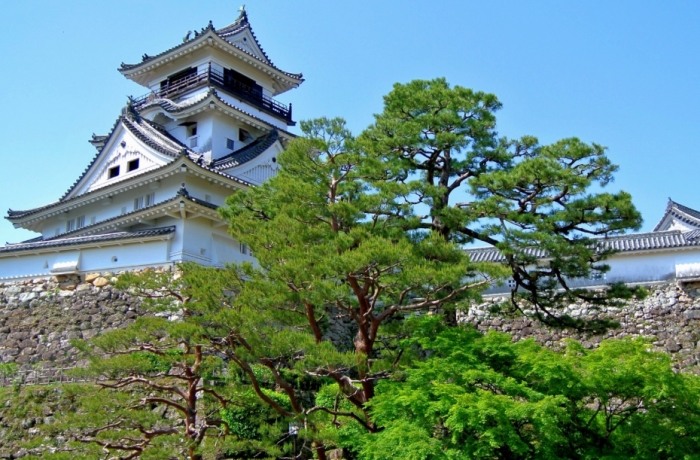 高知自由行攻略