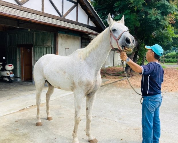 觀光工廠DIY 觀光工廠DIY