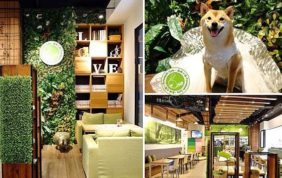 宜蘭寵物友善景點推薦 宜蘭寵物友善景點推薦