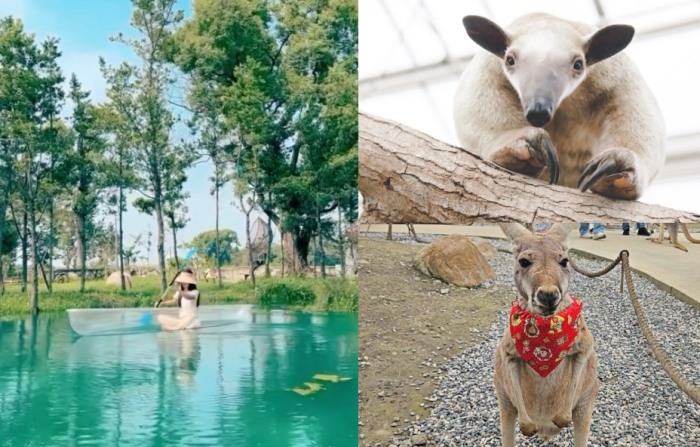 宜蘭帶寵物室內場所 宜蘭帶寵物室內場所