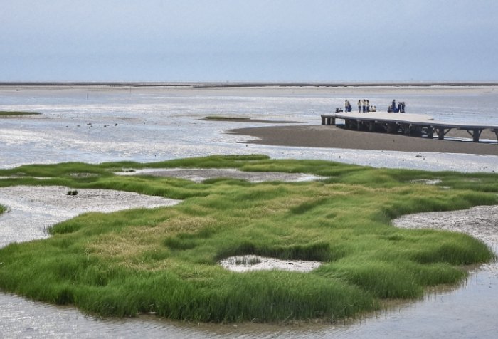 西部濱海公路路線 西部濱海公路路線