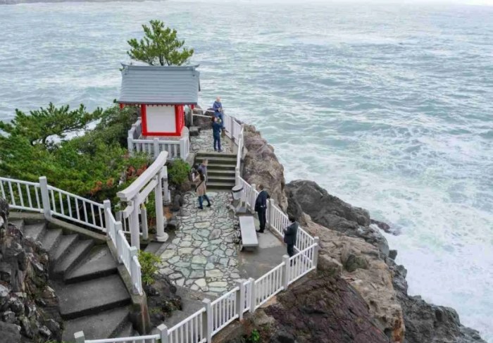 高知市旅遊 高知市旅遊