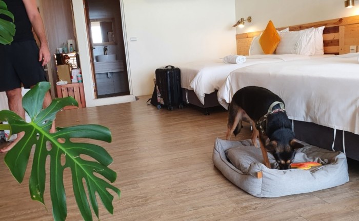 寵物友善民宿嘉義 寵物友善民宿嘉義