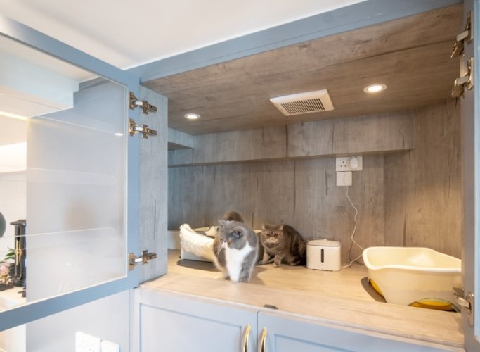 宜蘭寵物友善景點推薦 宜蘭寵物友善景點推薦