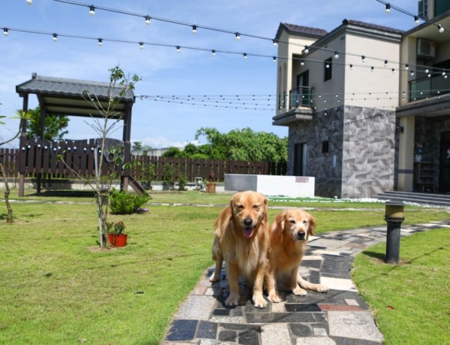 寵物友善民宿嘉義 寵物友善民宿嘉義