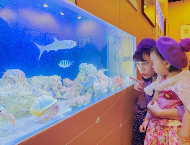 海科館行程規劃 海科館行程規劃