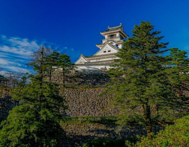 高知駅観光 高知駅観光
