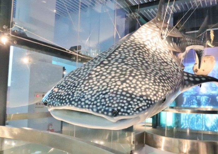 海科館停留時間 海科館停留時間