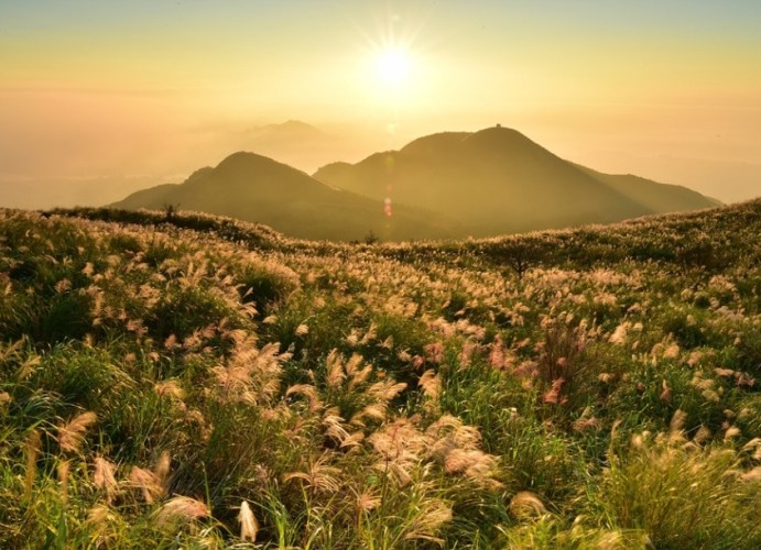 北部半日遊景點