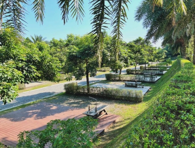 親子農場烤肉 親子農場烤肉