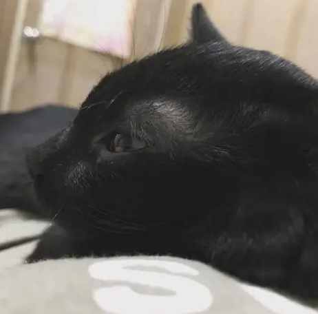 夢境象徵意義 夢境象徵意義