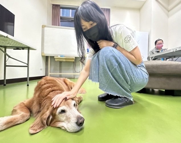 長期寵物寄養 長期寵物寄養