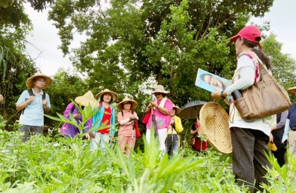 台灣深度體驗 台灣深度體驗