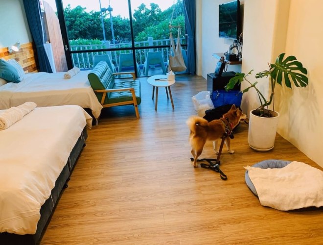 梅山寵物友善民宿 梅山寵物友善民宿