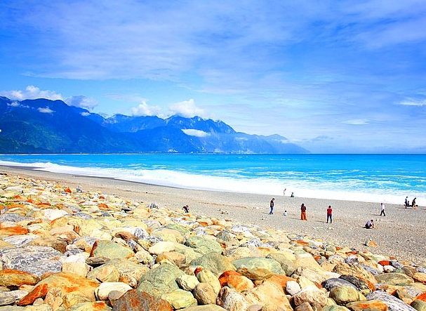 花東寵物友善景點推薦