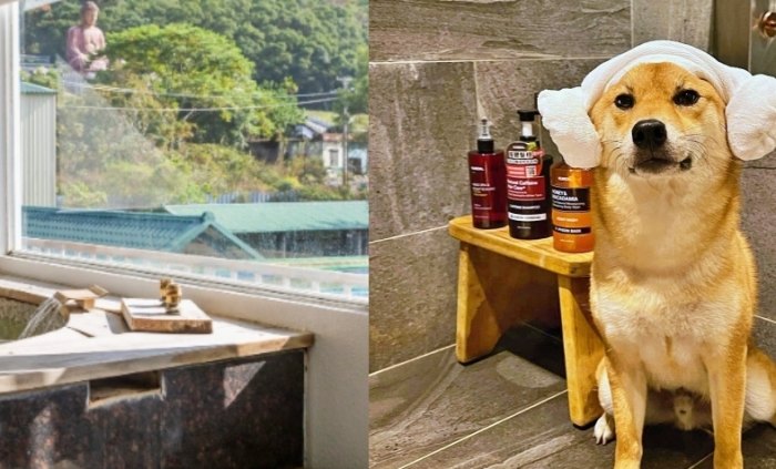 梅山寵物友善民宿 梅山寵物友善民宿