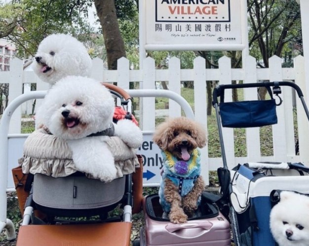 梅山寵物友善民宿 梅山寵物友善民宿