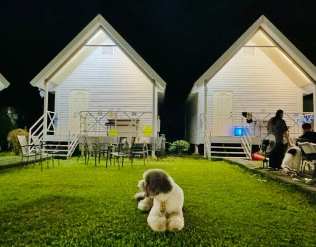 嘉義寵物友善住宿