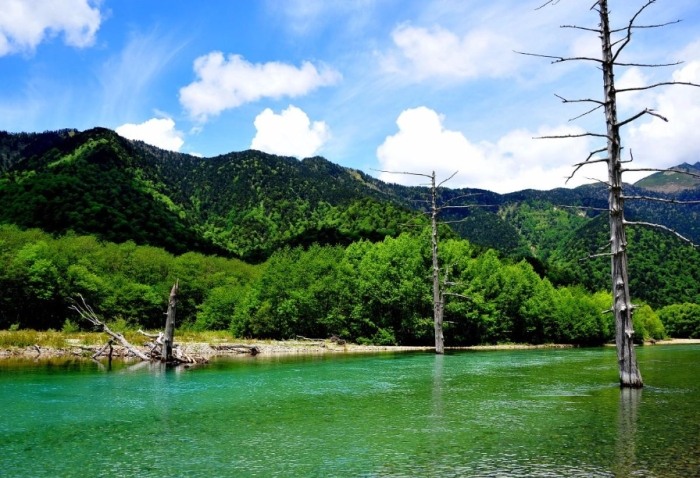 四萬十川行程 四萬十川行程