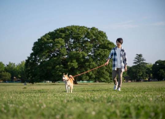 花東寵物友善景點推薦