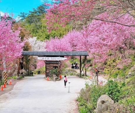 環島行程規劃 環島行程規劃