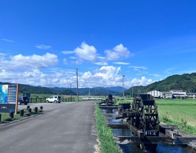 台灣沉下橋 台灣沉下橋