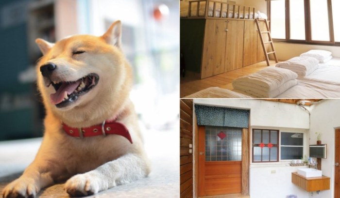 嘉義寵物友善住宿