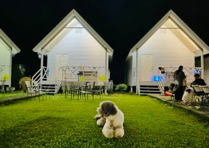 嘉義帶寵物住宿