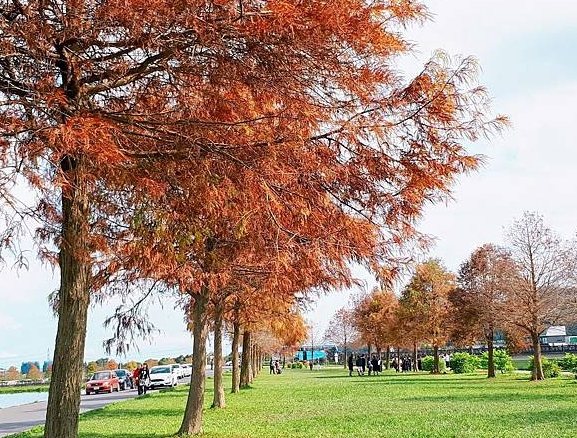 三星鄉免費景點