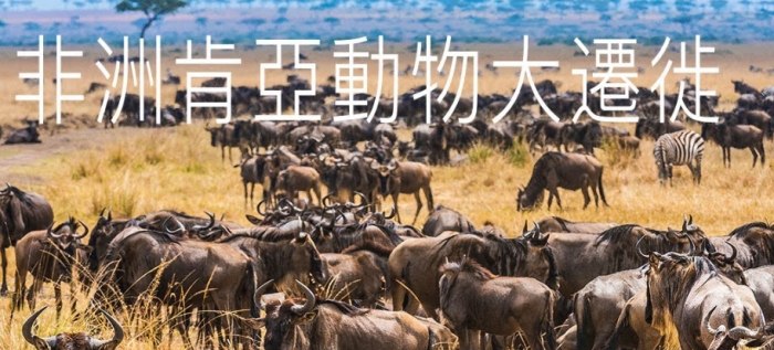 肯亞自由行攻略 肯亞自由行攻略