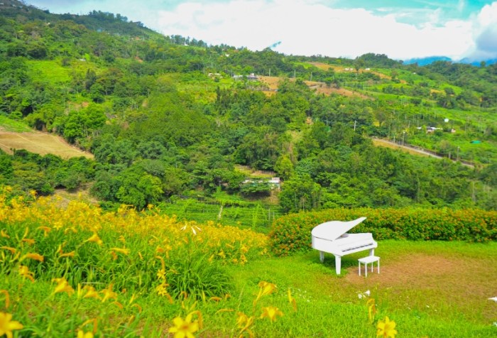 知本溫泉火車行程 知本溫泉火車行程