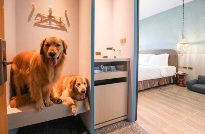 嘉義帶寵物旅遊住宿 嘉義帶寵物旅遊住宿