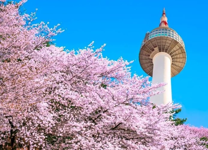 首爾兩天一夜旅遊