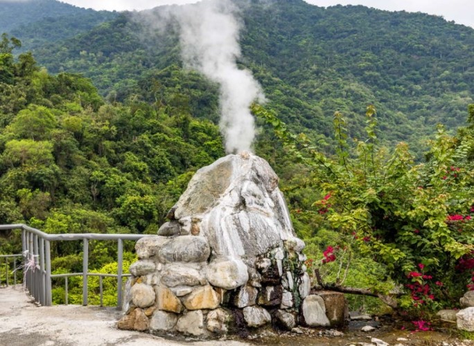 花東寵物友善景點推薦
