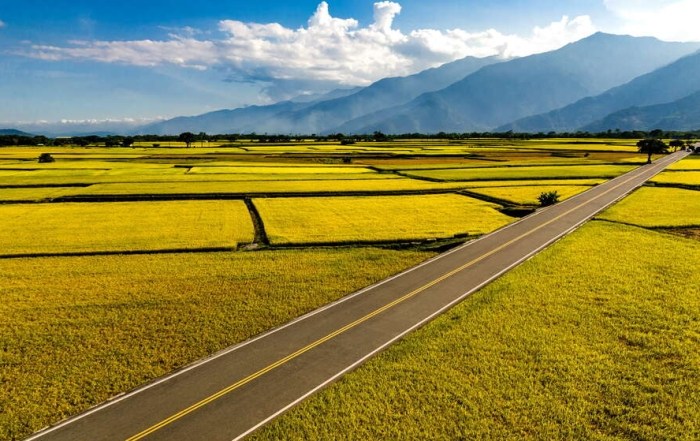 台東景點推薦 台東景點推薦