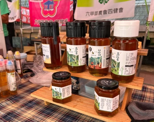 六甲親子一日遊