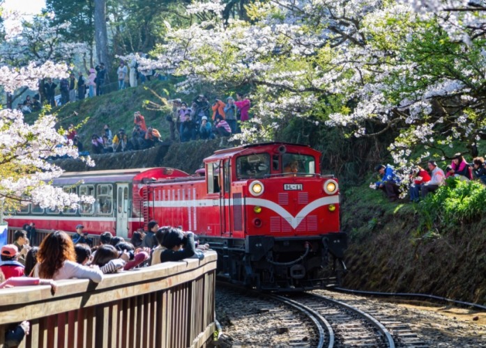 麗寶樂園接駁車