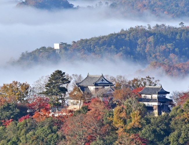 備中松山城交通
