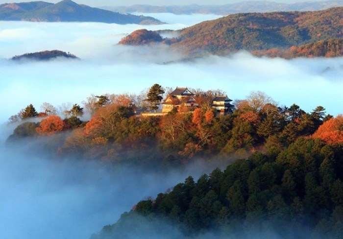 松山城雲海最佳時間