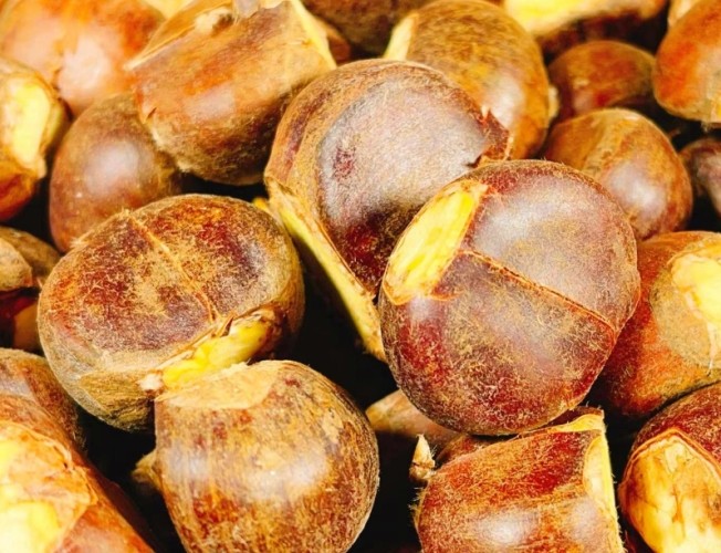 快速去板栗皮方法 快速去板栗皮方法