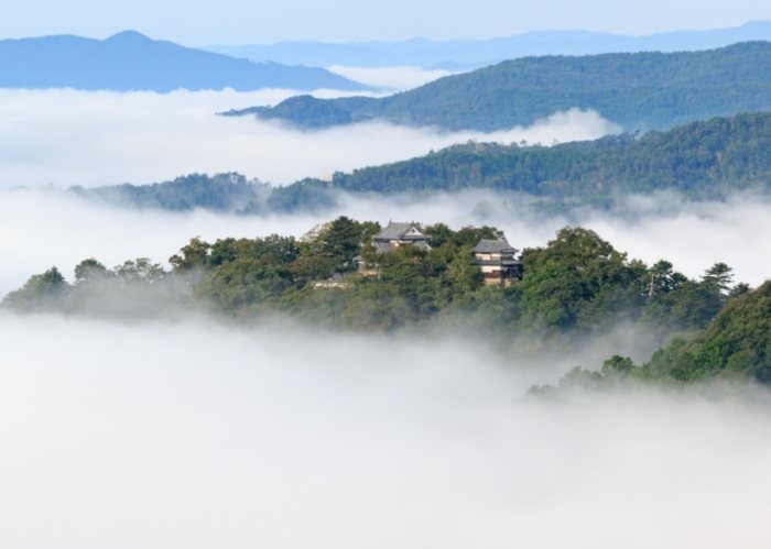 松山城雲海最佳時間