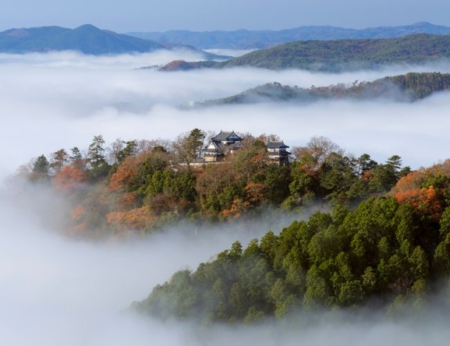 松山城雲海最佳時間