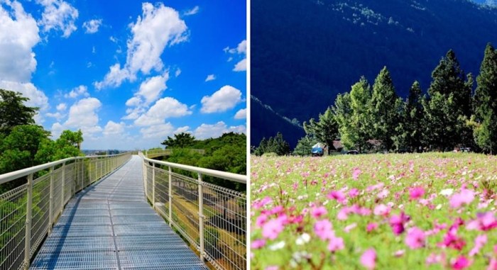 台中無障礙景點