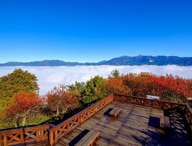 阿里山星空拍攝