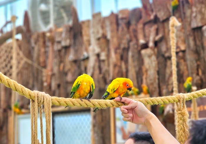 宜蘭室內動物園 宜蘭室內動物園
