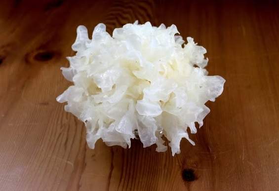 白木耳料理 白木耳料理