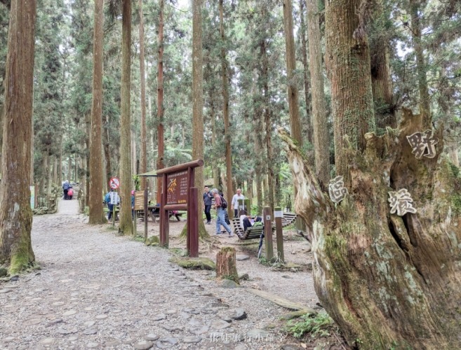 溪頭園區內住宿