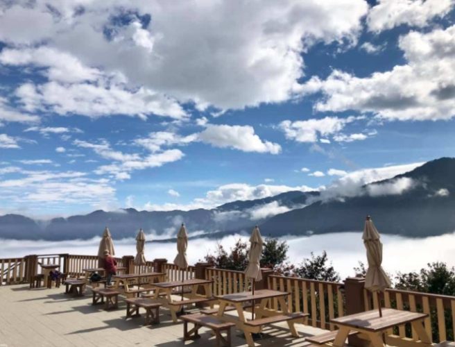 觀霧森林遊樂區 觀霧森林遊樂區