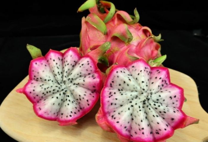 火龍果副作用 火龍果副作用