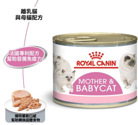 幼貓濕糧品牌 幼貓濕糧品牌